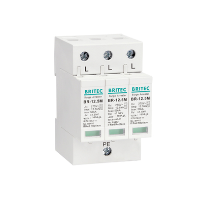 BRITEC BR-12.5M 2P 12.5kA একক ফেজ Spd লাইটনিং অ্যারেস্টার সার্জ প্রতিরক্ষামূলক ডিভাইস থান্ডার প্রোটেক্টর