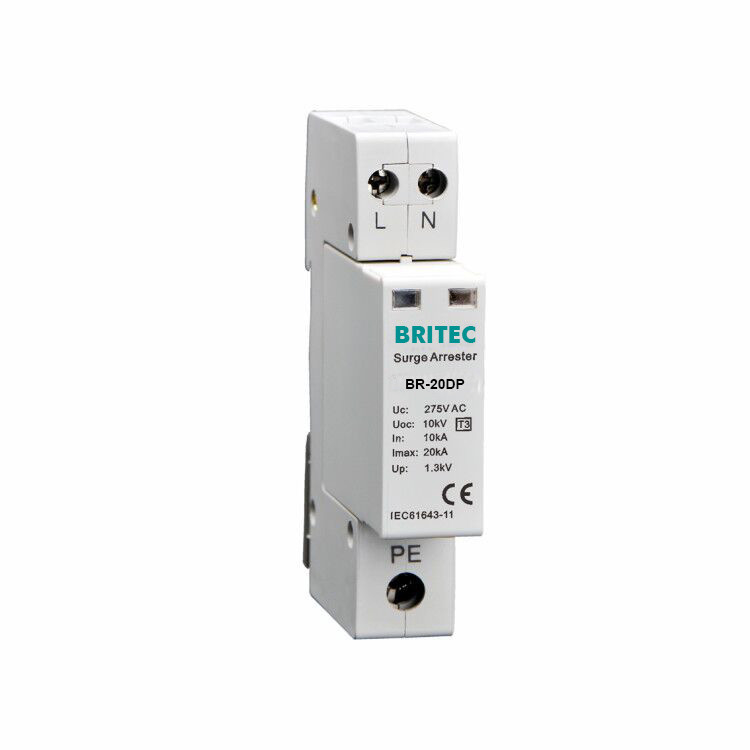 নিম্ন ভোল্টেজ সিস্টেমের জন্য BR-20DP 2P 10kV সার্জ সুরক্ষা ডিভাইস টাইপ 3 টাইপ 3 সার্জ আটকান