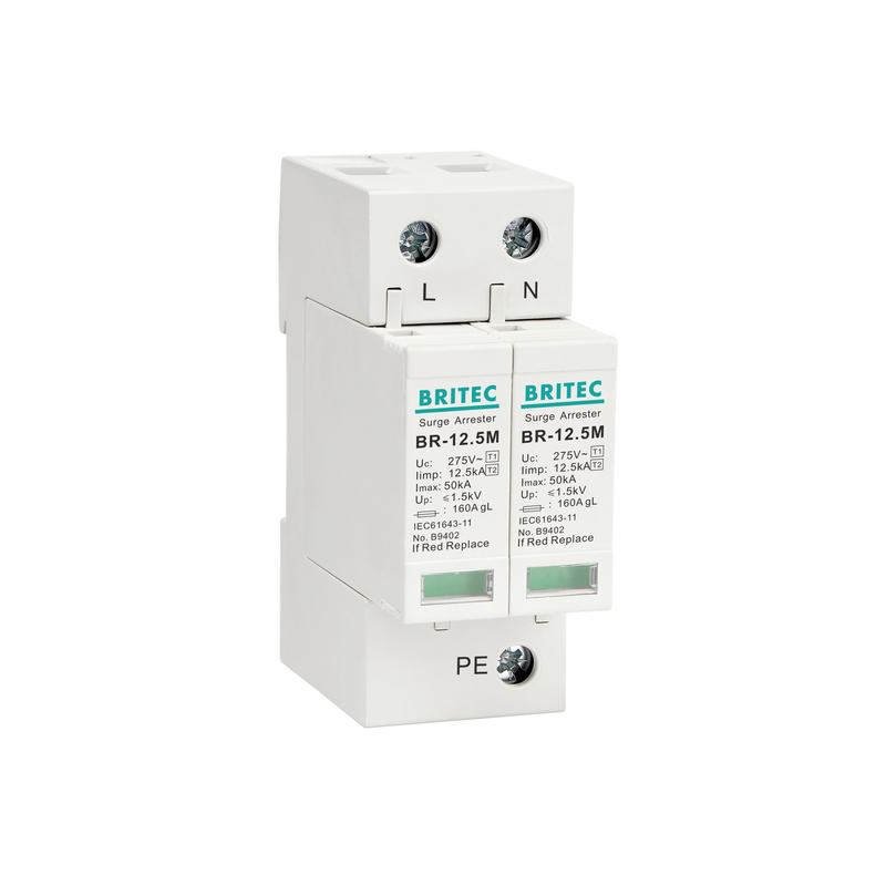 BRITEC BR-12.5M 2P 12.5kA একক ফেজ Spd লাইটনিং অ্যারেস্টার সার্জ প্রতিরক্ষামূলক ডিভাইস থান্ডার প্রোটেক্টর